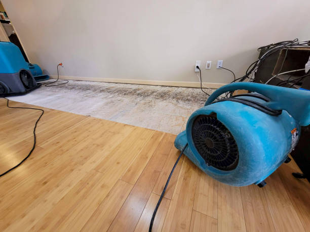 Professional Sewage Cleanup technician working in Elk Grove Village, IL